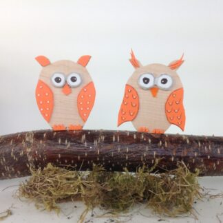 Groepje van twee uilen met oranje accenten
