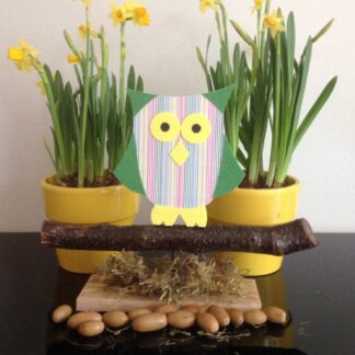 Houten uil (geel, groen)