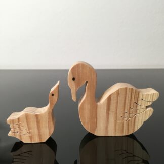 Ganzenmoeder met jong