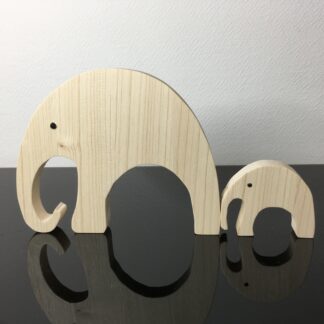 Olifantenmoeder met jong