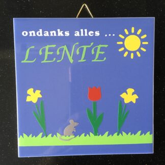 Tegeltje lichtblauw 1