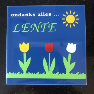 Tegeltje donkerblauw 1