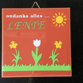 Tegeltje oranje 3