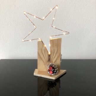 Ster met draadled-verlichting op houten voet